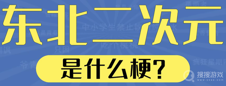 东北二次元是什么含义-东北二次元是什么意思