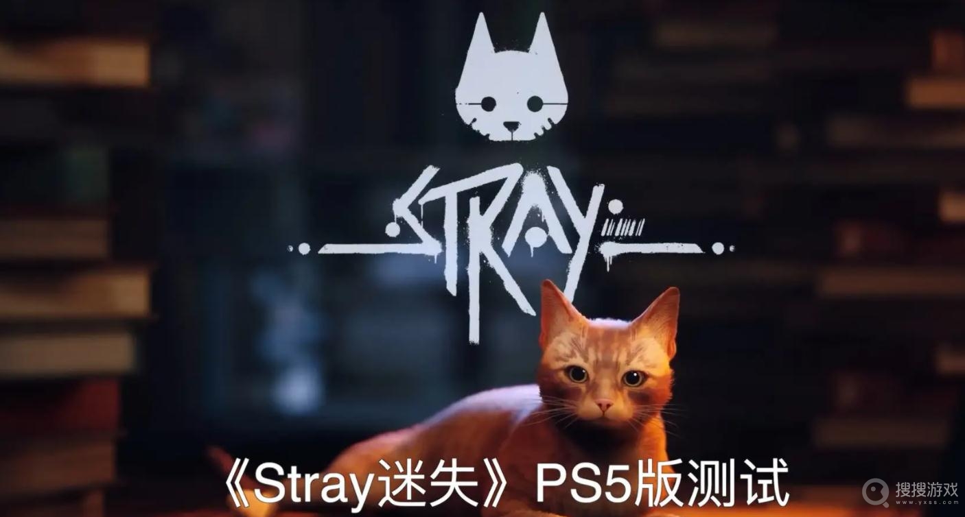 迷失Stray躲猫猫奖杯成就获取教程-迷失Stray躲猫猫奖杯成就怎么获取