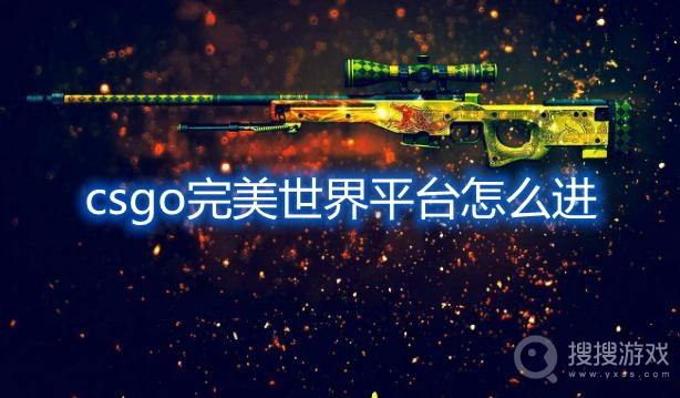 csgo完美世界平台怎么进-csgo完美平台下载登录方法