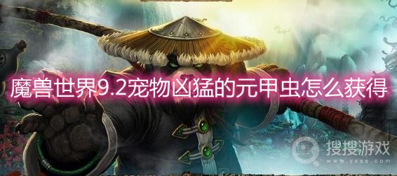 魔兽世界9.2宠物凶猛的元甲虫怎么获得-wow9.2宠物凶猛的元甲虫获取方法