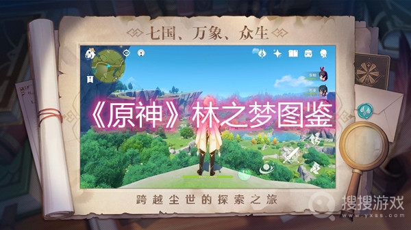 原神林之梦图鉴-原神林之梦有什么作用