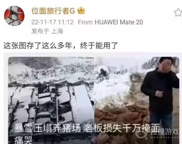 暴雪压塌养猪场表情包-暴雪压塌养猪场表情包是什么