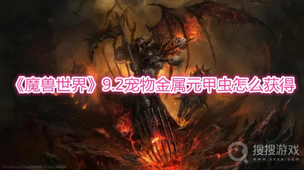 魔兽世界9.2宠物金属元甲虫怎么获得-wow9.2宠物金属元甲虫是什么