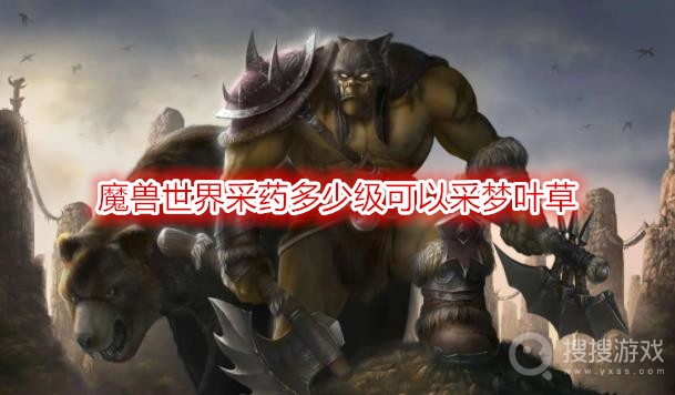 魔兽世界采药多少级可以采梦叶草-wow梦叶草获取方法