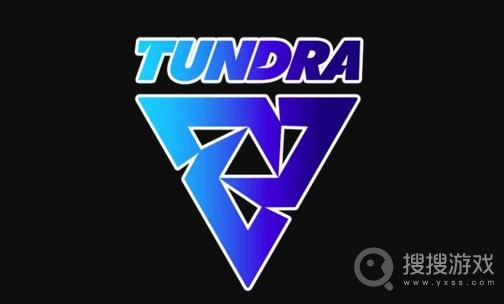 ti11国际邀请赛Tundra战队成员有哪些-Tundra战队成员dota2