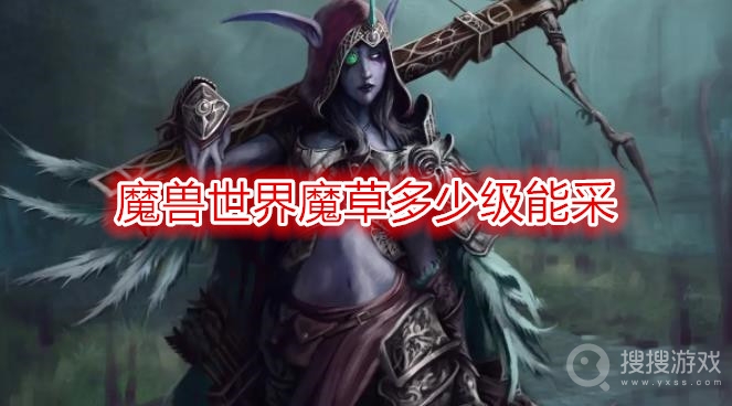 魔兽世界魔草多少级能采-wow魔草哪里比较多