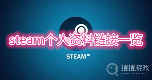 steam个人资料链接在哪里-steam个人资料链接一览