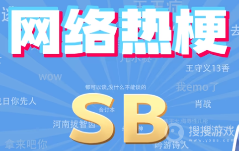 SB是什么梗-SB是什么意思