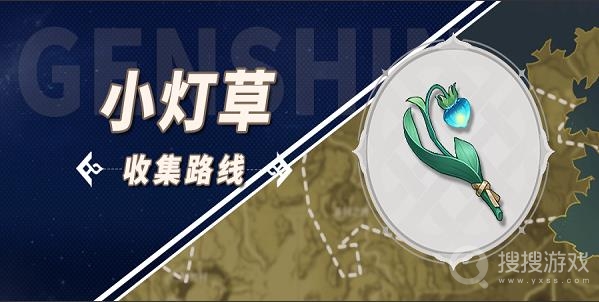 原神小灯草采集位置分享-原神小灯草采集位置在哪里