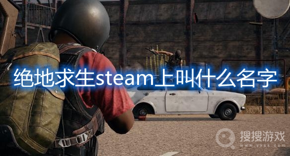 绝地求生steam上叫什么名字-绝地求生steam上下载哪个