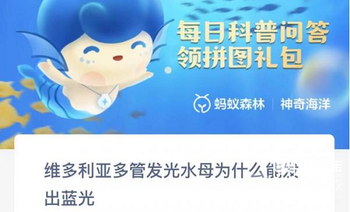 支付宝神奇海洋3.22正确答案-支付宝神奇海洋3.22正确答案是什么