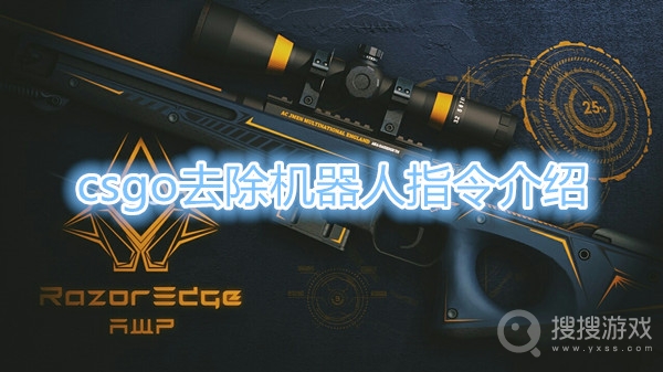 csgo去除机器人指令是什么-csgo去除机器人指令介绍