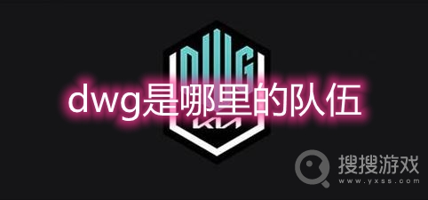 dwg是哪里的队伍-dwg战队现在叫什么