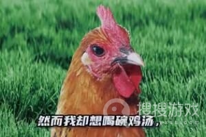 老乡鸡说唱是什么意思-老乡鸡说唱是什么含义