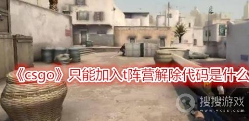 csgo只能加入t阵营解除代码是什么-csgo只能加入t阵营解除代码分享