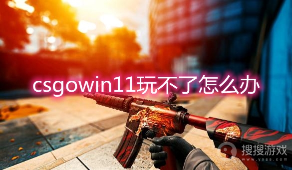 csgowin11玩不了怎么办-win11玩不了csgo解决方法